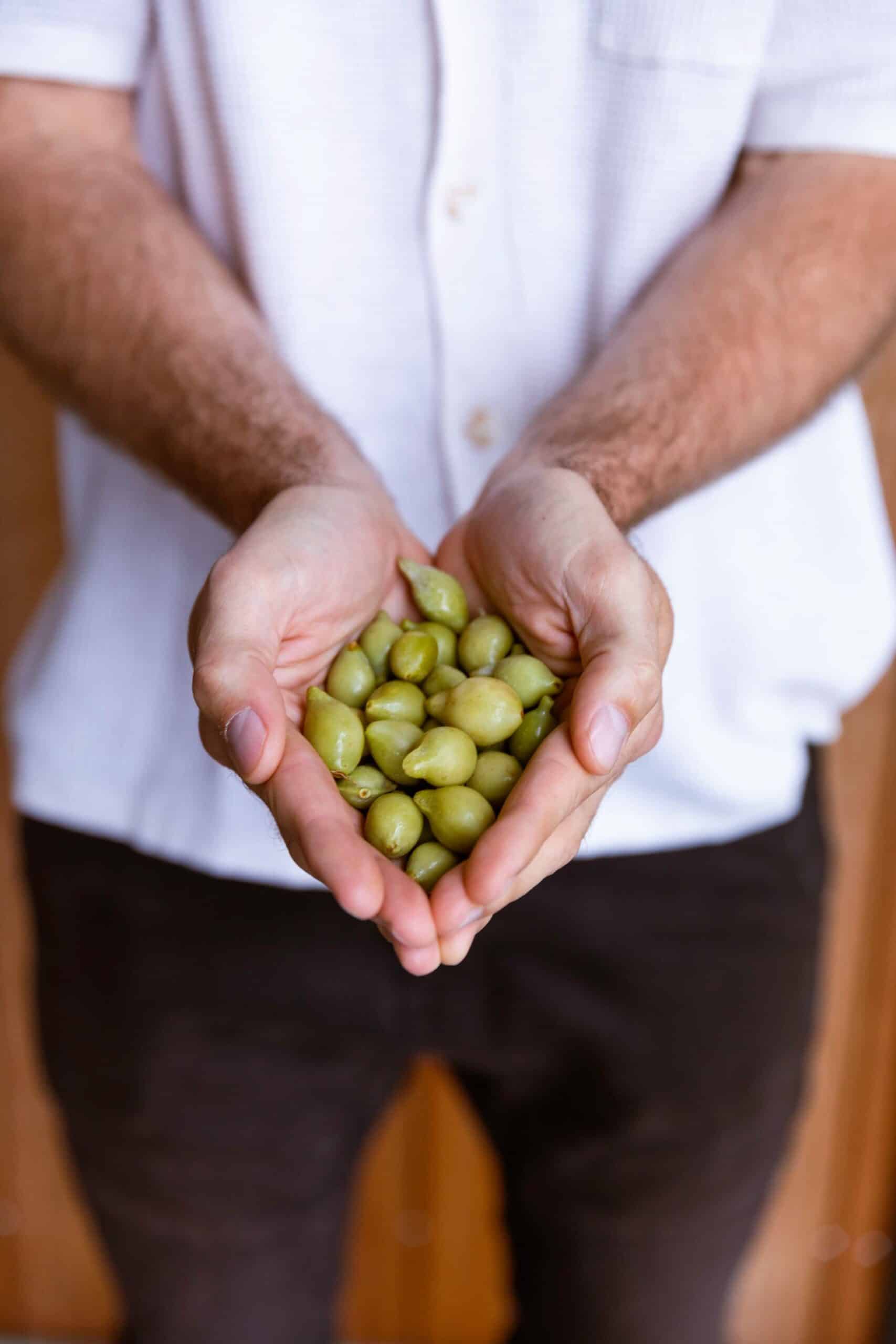 Healthy Foods for Stronger Hair